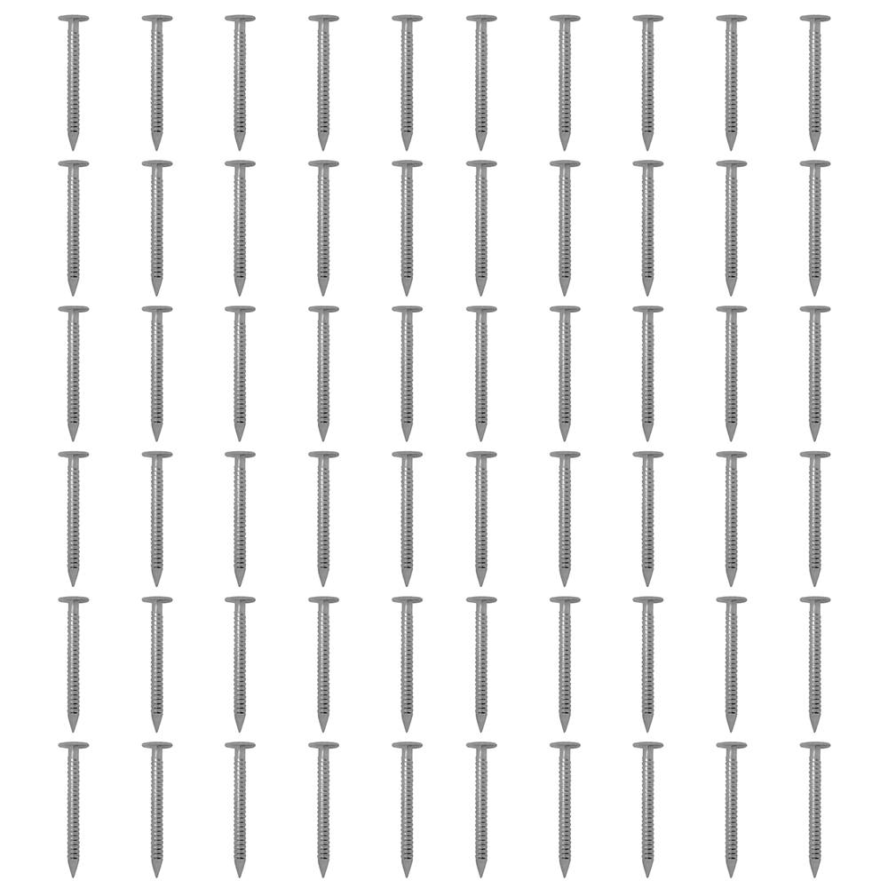 Dock Edging Stainless Steel Nail Pack