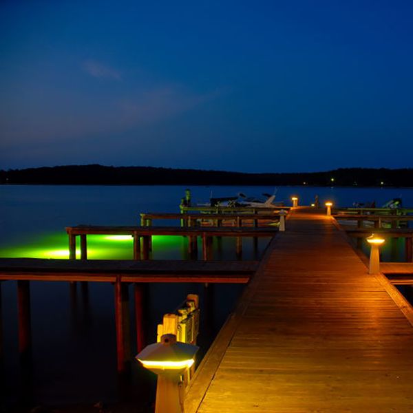 Green Monster Fishing Lights