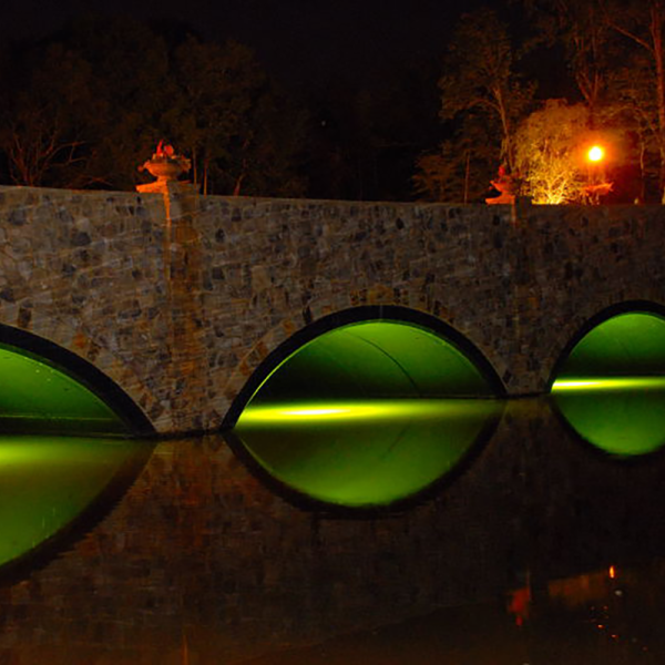 Green Monster Fishing Lights