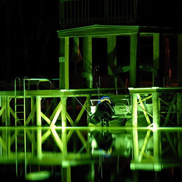 Green Monster Fishing Lights