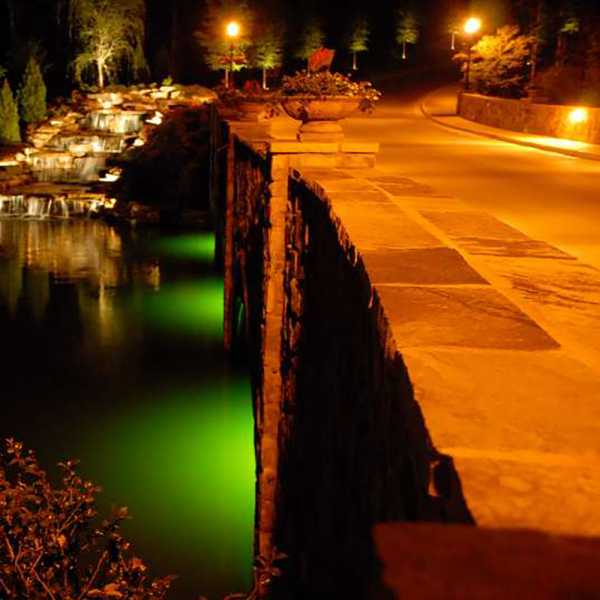 Green Monster Fishing Lights