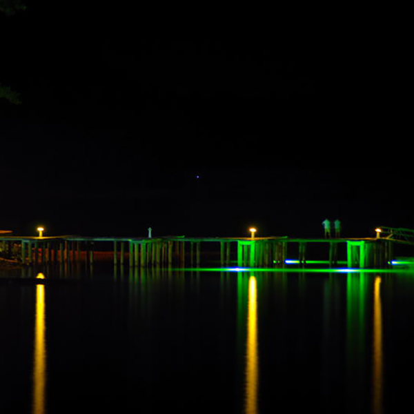 Green Monster Fishing Lights